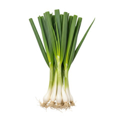Fresh bunch of green onion: A close-up shot of a vibrant green onion bundle, showcasing its crisp, fresh appearance and inviting appeal.