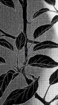 Close Up of Leaves and Stem Against Wire Mesh, Black and White