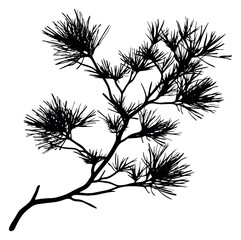 Hand drawn silhouette illustration of a pine branch depicting natural evergreen foliage for botanical designs