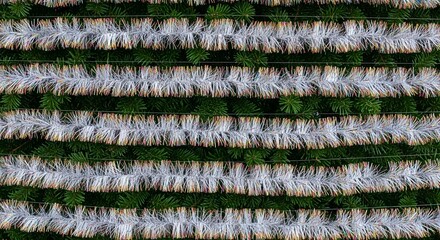 Close-up of a festive pattern featuring alternating horizontal rows of vibrant green pine needles and shimmering white tinsel, creating a rich, textured, and celebratory background