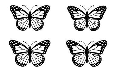 Butterfly silhouettes with intricate wing patterns on white
