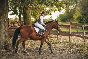 A young beautiful woman jockey is preparing for a show jumping competition. A woman rider rides a brown racehorse.