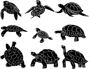 Set of turtle silhouettes, vector