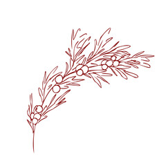 Vintage Christmas mistletoe branch in simple line art style. Contour drawing. Vector whimsical hand drawn doodle illustration for holiday cards, labels, packaging, stickers isolated on white