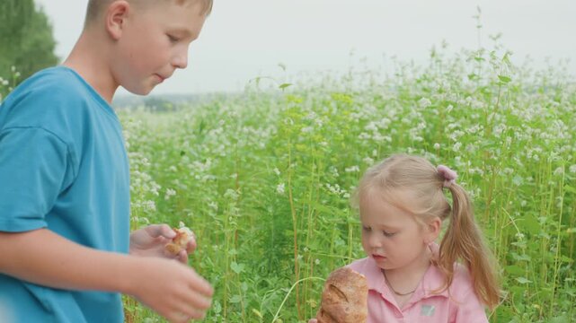 caucasian boy offers bread to girl near watermelon in meadow, older sibling gently hands crusty loaf to younger sister, sunlight soft, summer grass and white flowers, picnic basket at feet, curious