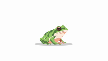 Fototapeta premium A small green frog with dark-ringed eyes sits with its body facing right, on a white background