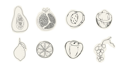 Fruit doodle sketch hand drawn set tropical and garden fruits and berries. Decorative vector elements for poster, placard, greeting card, menu or wedding invitation