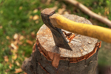 An old, rusty axe with a yellow wooden handle is embedded in a weathered tree stump outdoors.