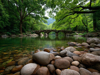 Scenic Bridge Over River in Lush Green Forest.
