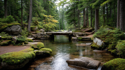 Serene Forest Bridge Over Clear River Amidst Lush Greenery.