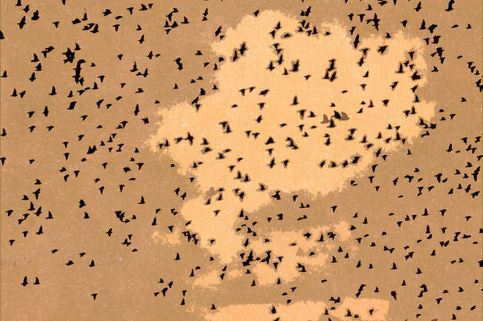 Ilustracja grafika stado małych ptak&oacute;w na jasnym tle.