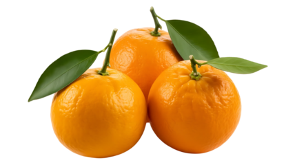 Three vibrant kumquats isolated on transparent background with green leaves