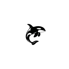 Obraz premium Orca illustration black and white design isolated on a white background