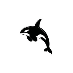 Obraz premium Orca illustration jumping vector graphic isolated on white background