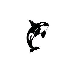 Obraz premium Orca whale illustration jumping isolated on white background vector art