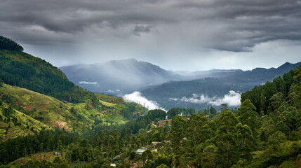 Atmospheric cloudrain panoramic landscape on road to Nuwara Eliya, Sri Lanka. Pine-covered hills in clouds and mist