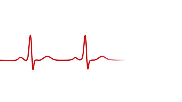 heart beat cardiogram on ecg illustration