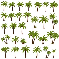 Palm Paradise: A Verdant Collection