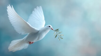 Fototapeta premium White dove flying with an olive branch in its beak. Symbol of peace, freedom, hope, and new beginnings. Ideal for greeting card.