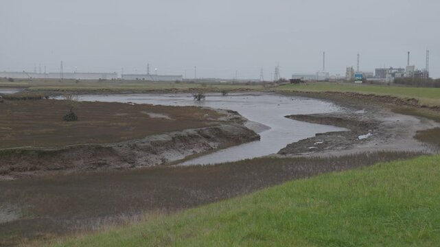 Static camera view over Seal Sands Nature Reserve, County Durham. Grass, mud and Greatham Creek fill the foreground with a few small trees, while pylons, masts and industry sit in the distance.