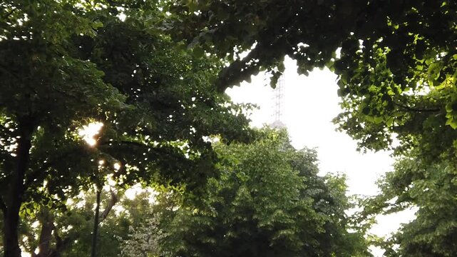 Sunlight filtering through lush green tree leaves in Paris park during golden hour creating soft glow, natural patterns, and calm atmosphere. Peaceful urban nature scene for relaxation and travel use
