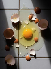 A vibrant raw egg yolk in spilled whites on light gray floor tiles surrounded by brown broken shells and dramatic shadows