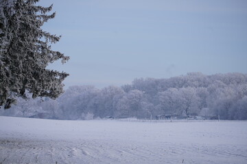 Feld im Winter