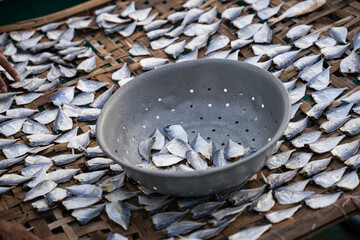 Vietnam dried fish prepared on bamboo tray for drying