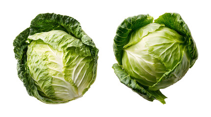 Fototapeta premium Fresh Chinese Cabbage Heads Isolated on Black Background PNG set with transparent background