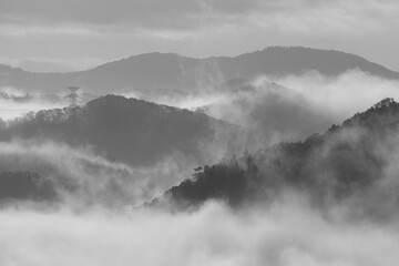 雲海に包まれた山