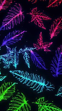 black background with colorful neon fern leaves create an abstract natural background