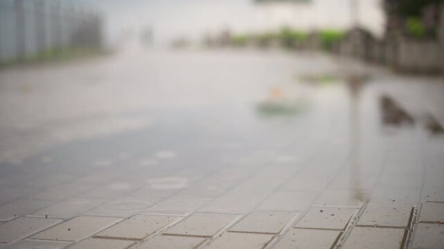 wet brick pavement reflecting empty street. Moody cinematic capture of glossy tiled walkway after drizzle, shallow depth of field, subtle bokeh, distant blurred buildings and fence, calm atmosphere