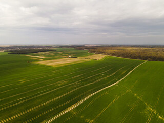 Aerial view of green agricultural fields with forest edge, rural farmland landscape and cloudy sky