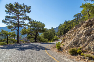 Winding mountain road passing through a scenic pine forest under a clear blue sky. Asphalt serpentine highway in the Mediterranean mountains. September, Turkey.