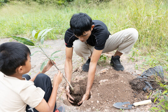 Asian father and child working together to plant a young tree in a natural outdoor area as a family environmental conservation activity.
