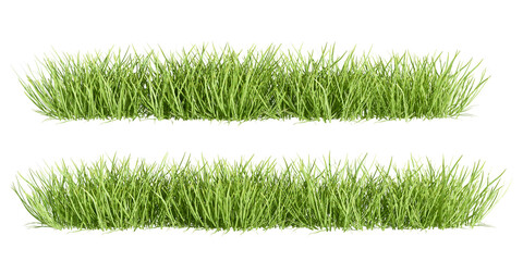 Green grass isolated on white background