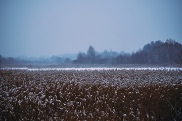 zbiornik wodny,zima  © Marcin Łazarczyk