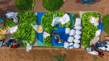 Joypurhat, Bangladesh - 22 August 2023: Aerial view of vibrant green cucumbers arranged artfully on blue tarps, contrasting against the warm earth tones, as vendors engage in commerce.