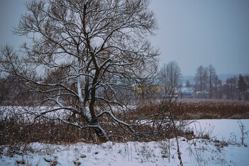 zbiornik wodny,zima  © Marcin Łazarczyk