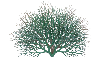 Bare Tree with Green and Brown Branches