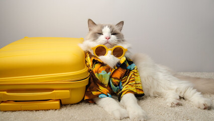 A cat with closed, squinted eyes and sunglasses around its neck lies next to a yellow suitcase.
