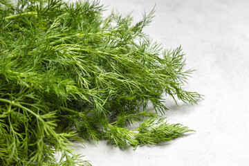 Bunch of Fresh Dill Green Herb Leaves