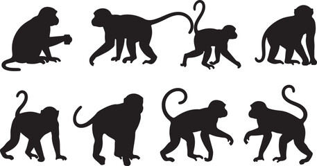 Obraz premium A set of monkey silhouettes on a white background. Perfect for designs about animals, nature, wildlife, primates, monkeys, apes, jungle, rainforest, conservation, and education