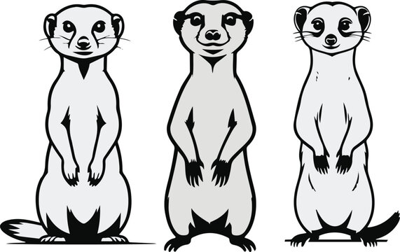https://contributor.stock.adobe.com/en/uploads#:~:text=Minimal%20vector%20sticker%20of%20a%20meerkat%20standing%20upright%2C%20simplified%20posture%2C%20clean%20outline%2C%20flat%20icon%20style%2C%20w