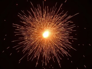 Vibrant firework explosion in the night sky