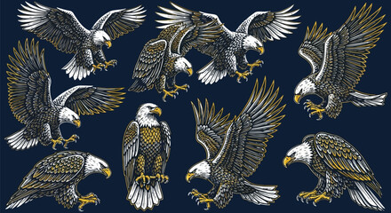 A collection of detailed bald eagle illustrations in various dynamic poses