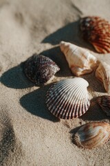 Aesthetic Summer Seaside Vibes, Ocean Breeze and Sunlit Beach Mood
