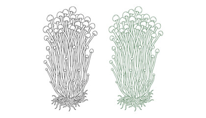 Enokitake mushroom set vector isolated on transparent background edible fungus © GoDesigner