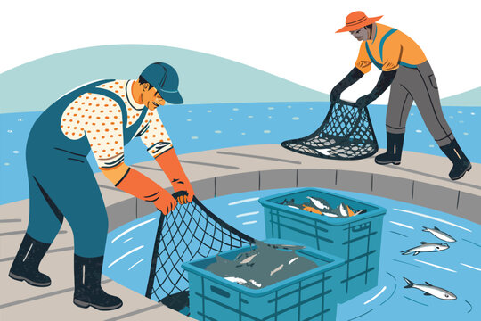 Fish Harvest Netting Pond Operation
