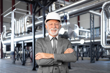 Senior ceo standing in industrial petrochemical plant